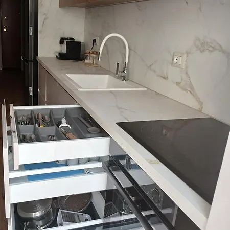 Magnolia's Daire Yzberishti